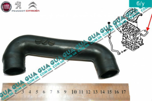 Патрубок вентиляции картерных газов ( шланг, трубка )   