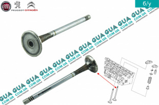 Выпускной клапан головки блока цилиндров ( ГБЦ ) Volvo / ВОЛЬВО V70 III 1.6D (1560 куб.см.)