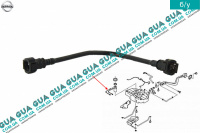 Патрубок / трубка топливной системы ( подача ) ( на колбу бака )