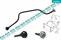 Патрубок / шланг системы охлаждения ( трубка расширительного  бачка )