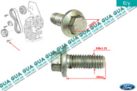 Болт / винт крепления шестерни привода ТНВД Delphi M8x1.25 L20мм