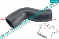 Патрубок интеркулера от турбины к радиатору
