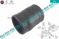 Патрубок / трубка топливной системы ( заливной горловины )