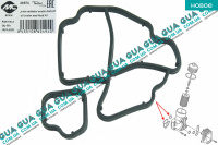 Прокладка корпуса масляного фильтра ( теплообменника ) Seat / СЕАТ ALHAMBRA 2010- 2.0TDi (1968 куб. см.)