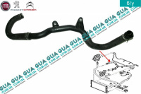 Патрубок / шланг системы охлаждения ( трубка ) радиатора верхний