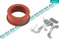 Патрубок / кольцо уплотнительное турбины ( трубка / шланг )