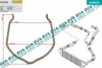 Стопор / фиксатор патрубка интеркулера ( удерживающая пружина / скоба ) 1ШТ Seat / СЕАТ LEON 2005- 1.8TSI (1798 куб.см.)