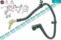 Патрубок / трубка топливной системы ( к топливному фильтру )