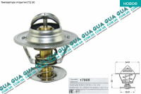 Термостат ( 80C ) 