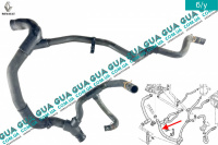  Патрубок / шланг системы охлаждения ( трубка радиатора нижняя / паук )