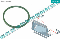 Кольцо уплотнительное патрубка интеркулера D53.95mm