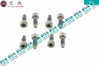 Болт / винт крепления маховика сцепления М8х1 ( комплект 8 шт. Ford / ФОРД TRANSIT 2006- / ТРАНЗИТ 06- 2.2TDCI (2198 куб.см.)