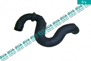 Парубок сапуна   