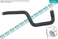 Патрубок вентиляции картерных газов ( трубка / шланг сапуна )