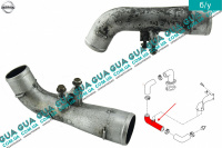 Патрубок интеркулера (от турбины к колектору ) Nissan / НИССАН ALMERA N16 / АЛЬМЭРА Н16 2.2 DCI ( 2184 куб.см.)