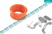 Патрубок / кольцо уплотнительное турбины ( трубка / шланг )