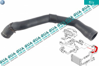 Патрубок радиатора / шланг системы охлаждения верхний ( трубка )
