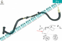 Патрубок / трубка топливной системы ( к топливному фильтру )