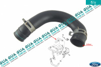 Трубка отвода картерных газов ( патрубок вентиляции картера ) Ford / ФОРД FOCUS II 2004-2011 / ФОКУС 2 1.8DI (1753 куб.см.)