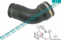 Патрубок интеркулера нижний