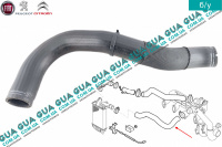 Патрубок / трубка интеркулера ( от интеркулера к турбине )