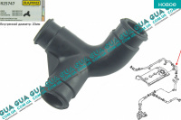 Патрубок вентиляции картерных газов ( шланг, трубка ) Seat / СЕАТ ALHAMBRA 1996-2010 1.8T (1784 куб.см.)