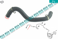 Шланг / патрубок вакуумной системы ( трубка )
