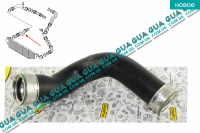 Патрубок интеркулера нижний правый