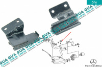 Кронштейн резинки крепления глушителя ( резиновое кольцо )