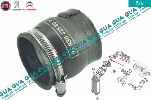 Патрубок интеркулера ( к коллектору )   
