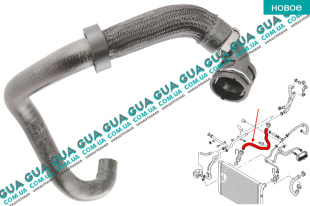Патрубок радиатора ( нижний / правый )   