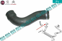 Патрубок интеркулера верхний ( от радиатора к коллектору ) правий