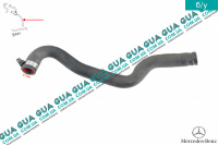 Трубка / патрубок автономного отопителя салона / печки ( Вебасто / Webasto )