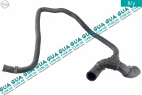 Патрубок / трубка системы охлаждения ( шланг радиатора / нижний )