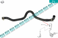 Патрубок / трубка ресивера воздушного вакуумного Nissan / НИССАН ALMERA N16 / АЛЬМЭРА Н16 2.2 DCI ( 2184 куб.см.)