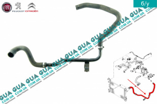 Патрубок / шланг системы охлаждения ( трубка от радиатора к термостату )   