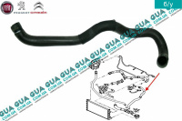 Патрубок / шланг системы охлаждения ( трубка )