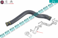 Патрубок / шланг системы охлаждения ( теплообменника ) трубка масляного радиатора