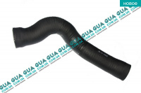 Патрубок интеркулера верхний