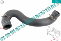 Патрубок / шланг системы охлаждения радиатора ( правый )