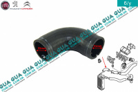 Патрубок / трубка интеркулера ( радиатор - дроcсельная заслонка )