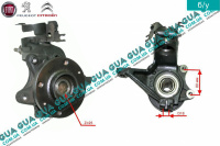 Поворотный кулак / цапфа левая с ступицей без ABS / АБС D18 Peugeot / ПЕЖО PARTNER M59 2003-2008 / ПАРТНЕР М59 03-08 1.9D (1868 куб.см.)