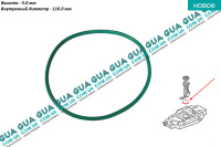 Прокладка топливного насоса / датчика уровня топлива в баке ( сальник колбы бака )