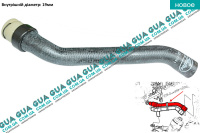 Патрубок / шланг системы охлаждения ( трубка печки )