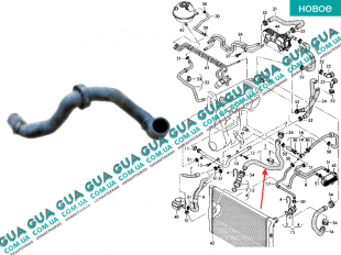 Патрубок радиатора 2004-2010 ( нижний, правый )   