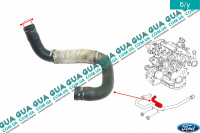 Патрубок масляного радиатора / трубка системы охлаждения ( шланг теплообменника )