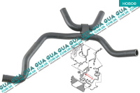 Патрубок / трубка системы охлаждения ( шланг от масляного радиатора-флянеца )