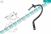 Петля крышки багажника правая Opel / ОПЕЛЬ VECTRA B 1995-2002 / ВЕКТРА Б 98-02 2.0DI V16 (1995 куб. см.)
