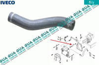 Патрубок / трубка системы охлаждения ( Iшланг радиатора нижней )