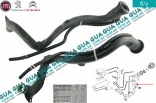 Патрубок / трубка топливной системы ( заливной горловины )   